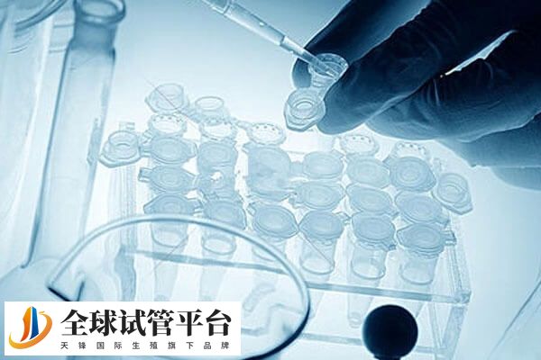 做试管婴儿需不需要请长假