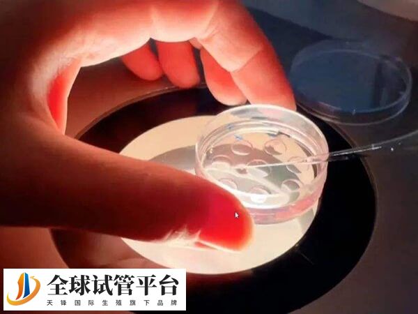 血常规检查有效时间短