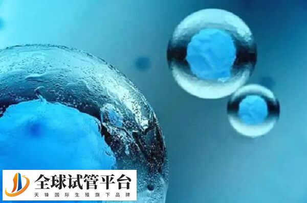5天囊胚和3天鲜胚有哪些区别