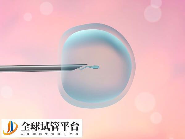 胎儿的性别是自然选择的结果
