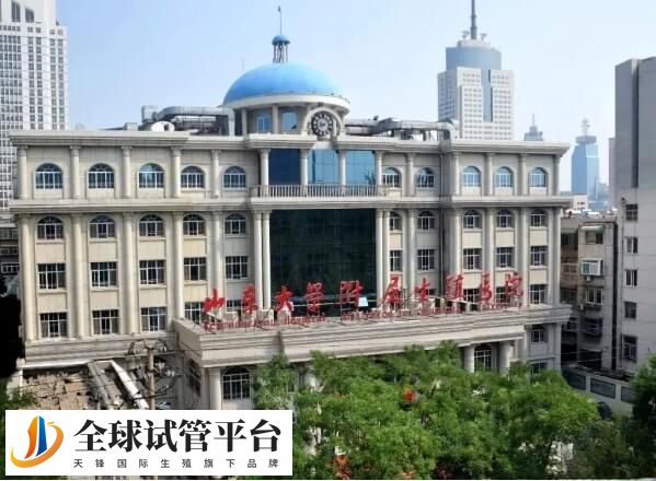 山东大学附属生殖医院是一家公立医院
