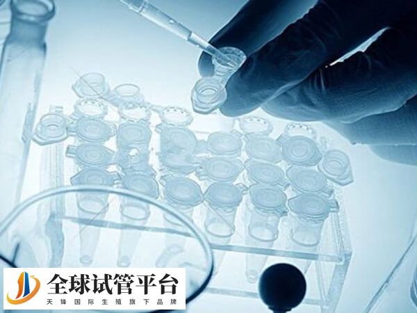 山大生殖马增香是女性生殖科主任医师，