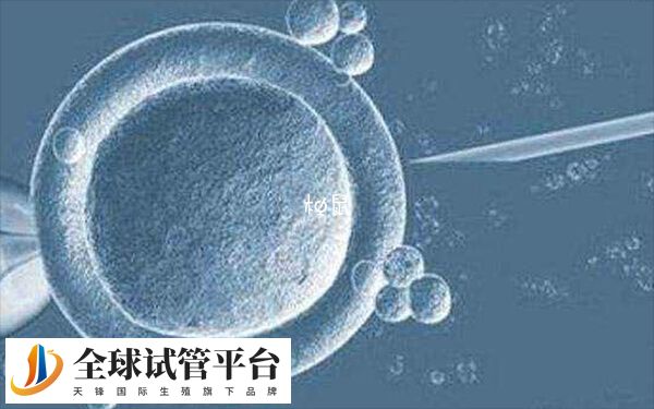 在北京地区做三代试管婴儿的医院有3家
