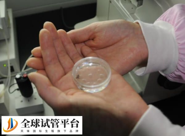 石家庄现目前开展生殖助孕的医院共有11家
