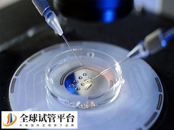 胚胎移植后的症状感觉因人而异
