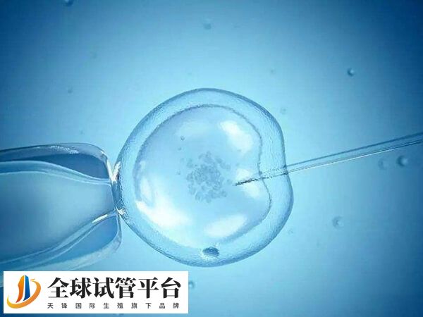 试管婴儿是一项高风险高技术难度的治疗手段