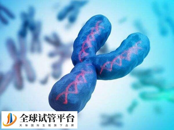 azfc缺失可不可以做第二代