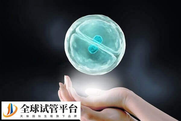 做试管卵泡监测有什么用