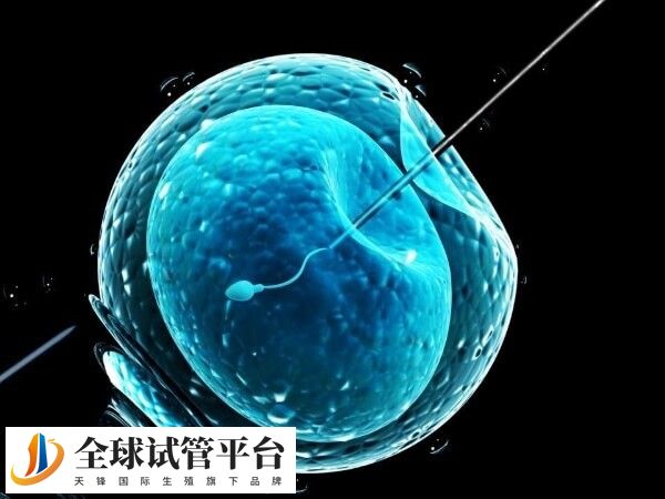 第四代试管婴儿成功率怎么样