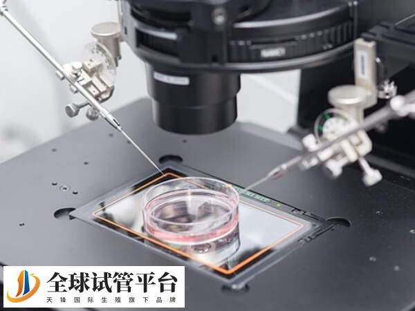 第四代试管婴儿技术是什么