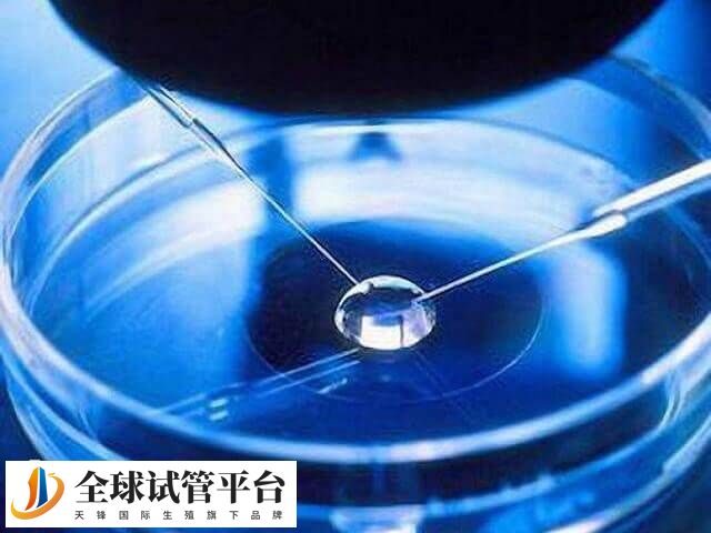 精子卵子冷冻费一般一次交几年的