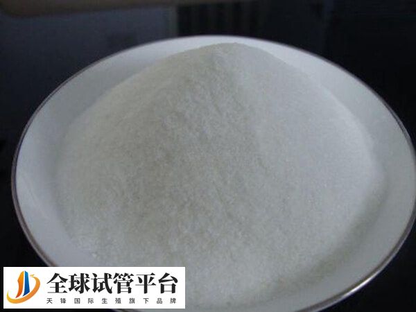 精氨酸长期服用睾丸变小了怎么回事