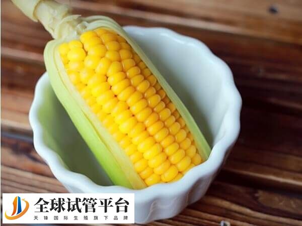 鲜胚移植后吃玉米对于胎儿发育有没有好处