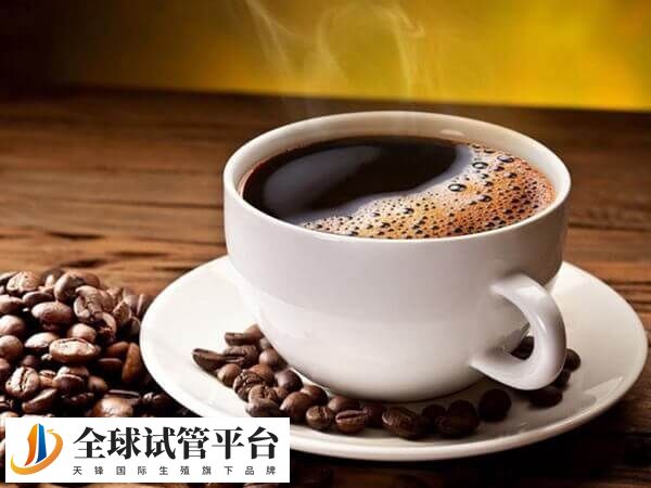胚胎移植后喝咖啡会不会影响着床