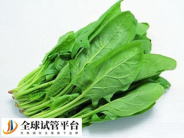 试管移植后菠菜为什么不能多吃
