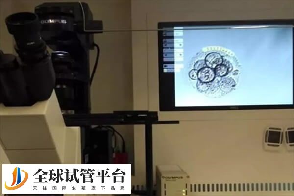 养囊和不养囊的区别主要体现发育阶段不同