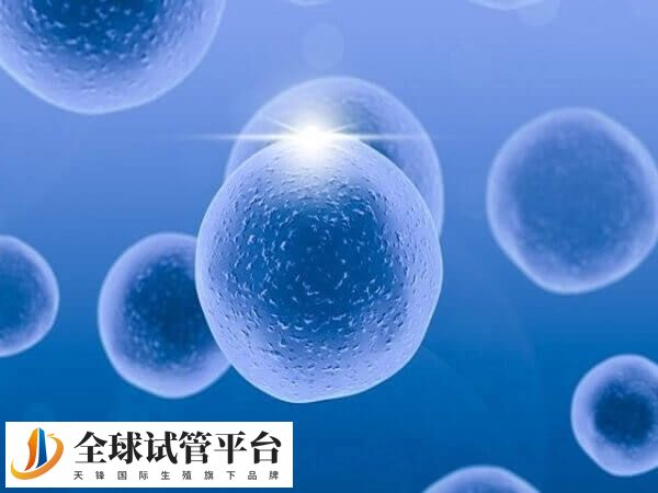 试管婴儿用拮抗剂方案促排取卵的费用贵吗？