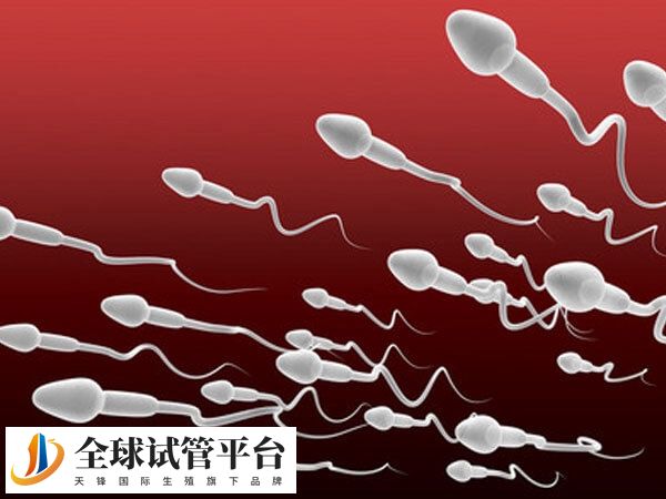 精子库的精子质量分哪些档次