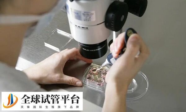 降调期间感冒发烧了怎么处理