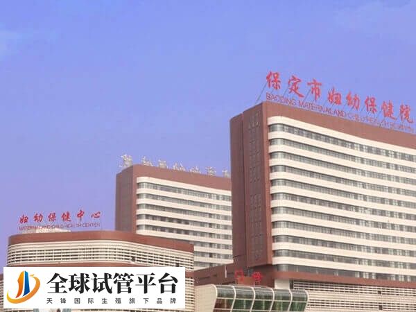 保定妇幼的卢艳梅医生试管技术好