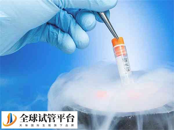 冷冻胚胎移植的流程是怎么样的