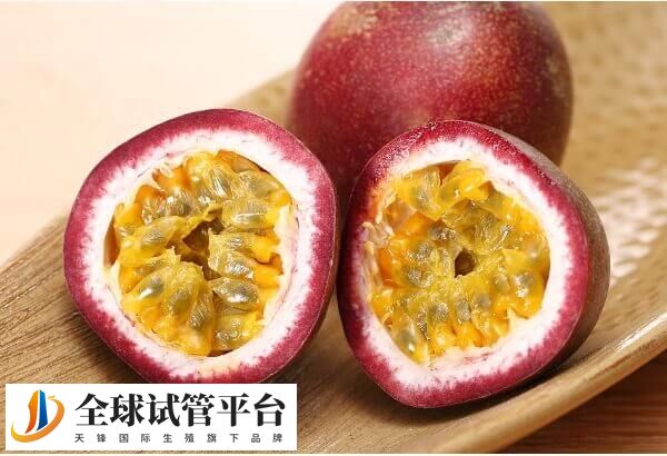 百香果在胚胎移植后吃会不会有影响