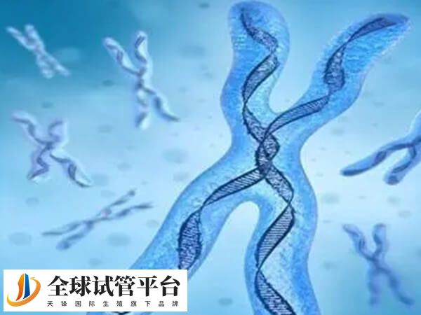 三代试管技术怎么样