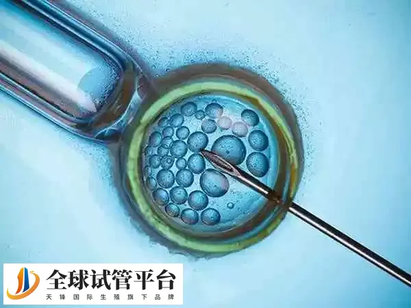 促排卵双胞胎是不是长得一样