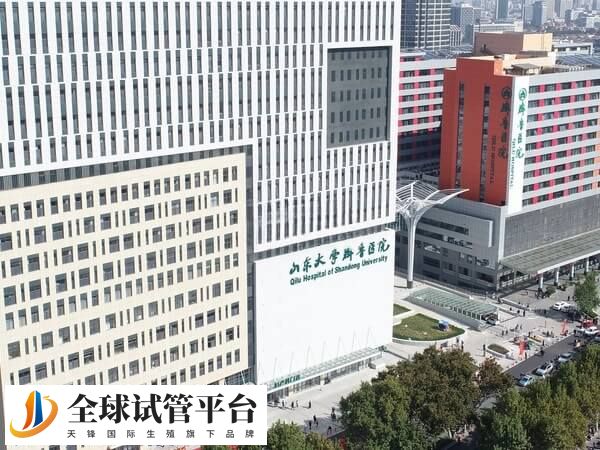 山东大学齐鲁医院德州医院试管婴儿检查到移植费用多少？