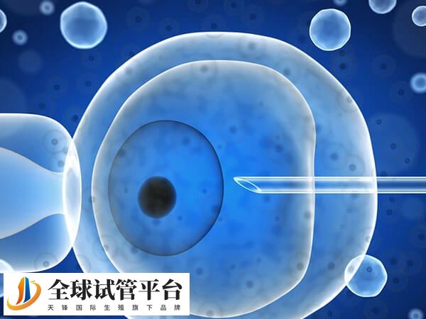 37岁做试管一次移植成功率高不高
