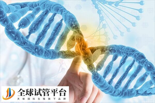 三代试管婴儿能不能筛查血友病基因
