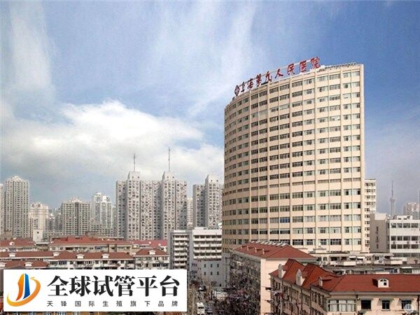 上海九院