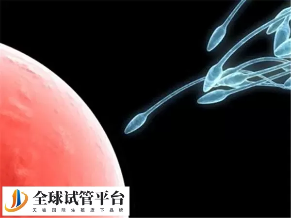 赤峰人工授精哪家医院好