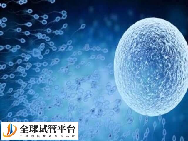重庆妇幼试管流程攻略