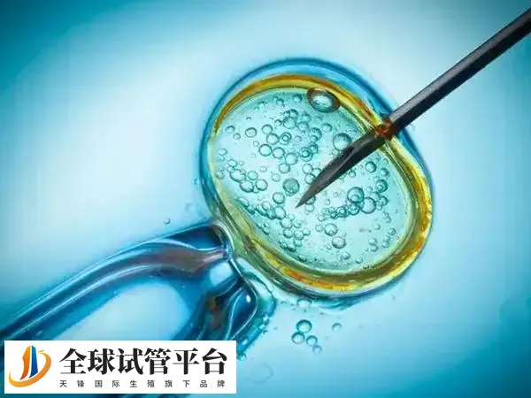 超促排卵方案和微刺激方案的区别是什么
