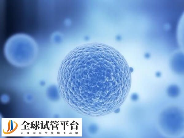 自然周期采卵和微刺激促排卵有什么区别