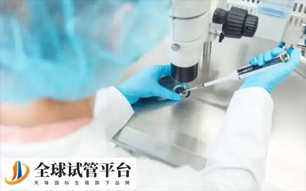 ppos方案和微刺激的区别有哪些