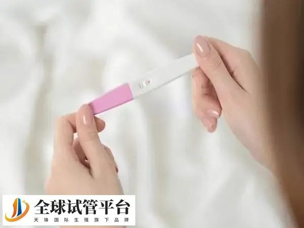 fsh高对怀孕的影响有哪些