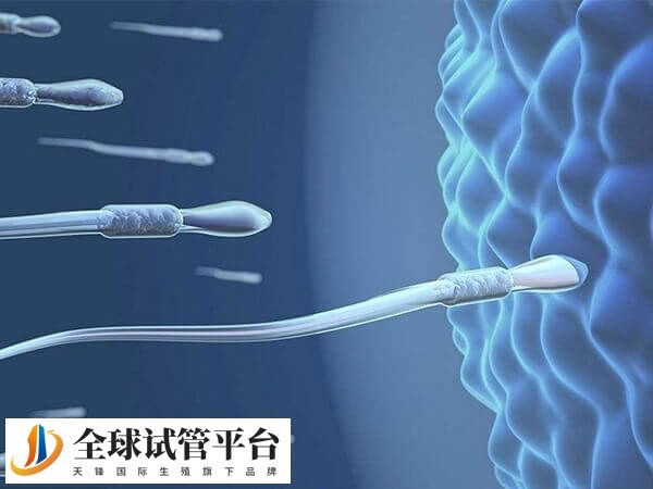 内江哪个不孕不育医院有生殖科能做人工授精？