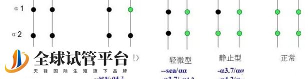 α地中海贫血