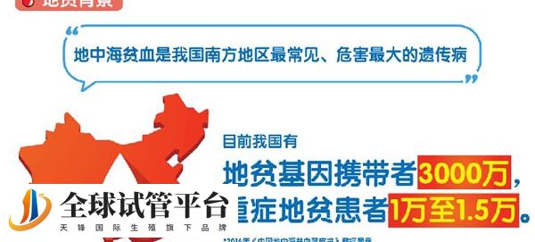地中海贫血和贫血有什么区别