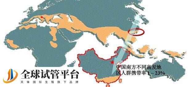 地贫是全球最大的单基因遗传病之一