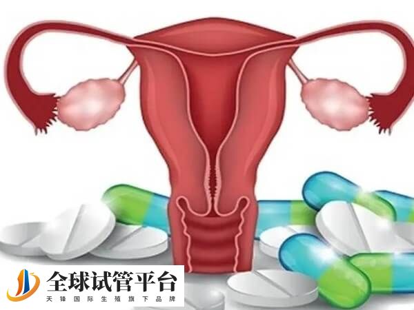 巧克力囊肿怎么办因人而异