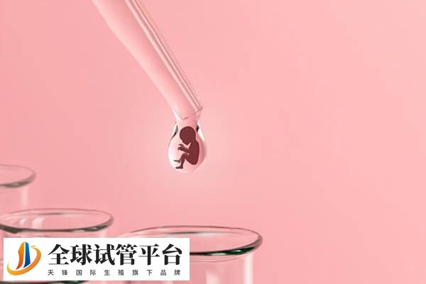 子宫小内膜薄做供卵试管婴儿前需要准备好哪些证件？