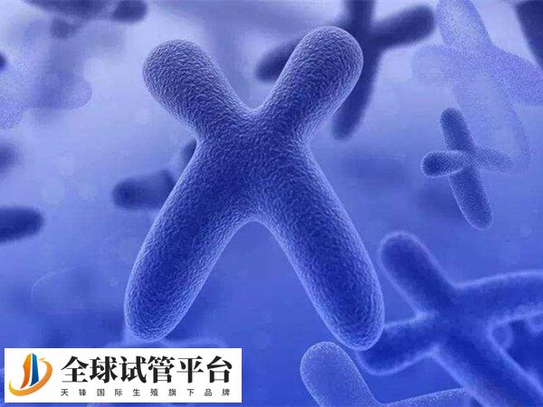 男性不育做三代试管的年龄不能过大