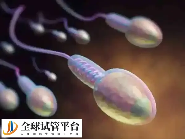死精症并不是所有精子没有活力