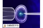 取卵后卵巢扭转什么症状