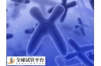 男性不育做三代试管需满足什么条件
