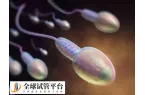 死精症能否做试管婴儿
